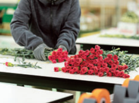 株式会社welzo　第2フラワーセンターの派遣求人情報