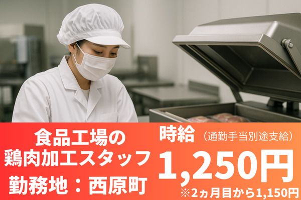 人材コンサルト沖縄株式会社のアルバイト・バイト求人情報-20