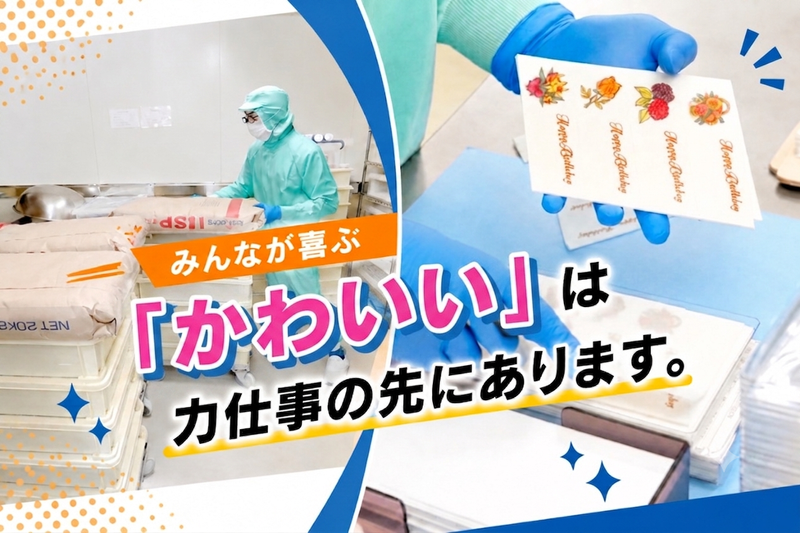 キュートデコール株式会社の求人・転職情報