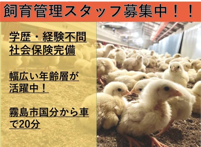 有限会社松尾ブロイラーの求人・転職情報