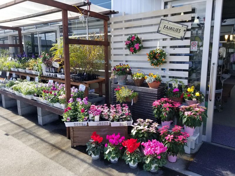 株式会社　Green　Terrace　MATSUIのアルバイト・バイト求人情報-03