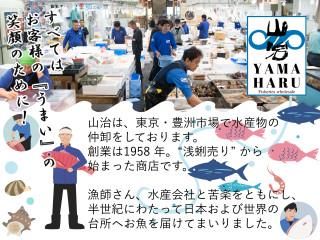 株式会社山治　豊洲市場のアルバイト・バイト求人情報-03