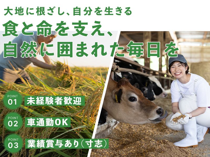 MBファームの求人・転職情報