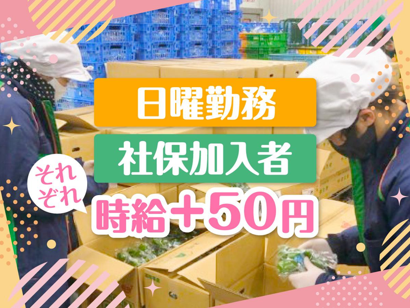 株式会社パルラインのアルバイト・バイト求人情報-03