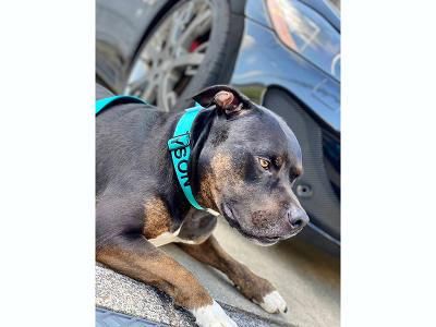 株式会社プラウディアのアルバイト・バイト求人情報-03