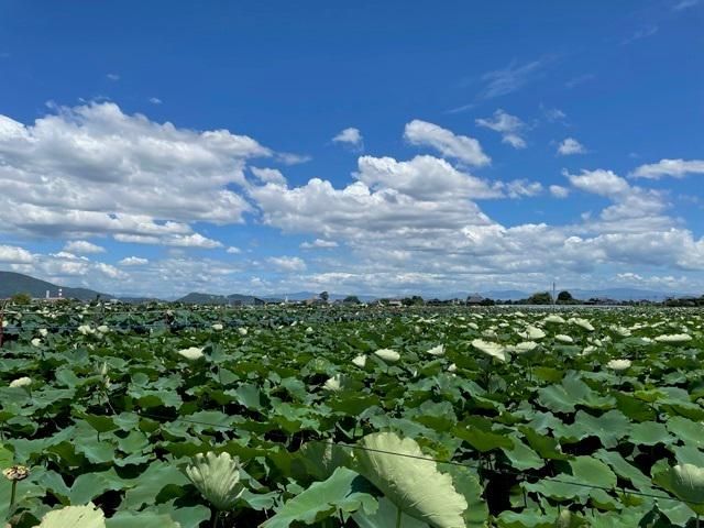 株式会社One vegetableのアルバイト・バイト求人情報-05