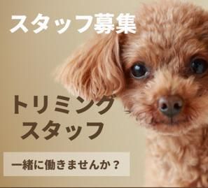 株式会社ラビータの求人・転職情報