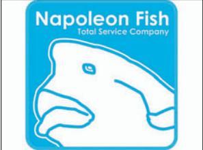 株式会社ナポレオンフィッシュの求人・転職情報