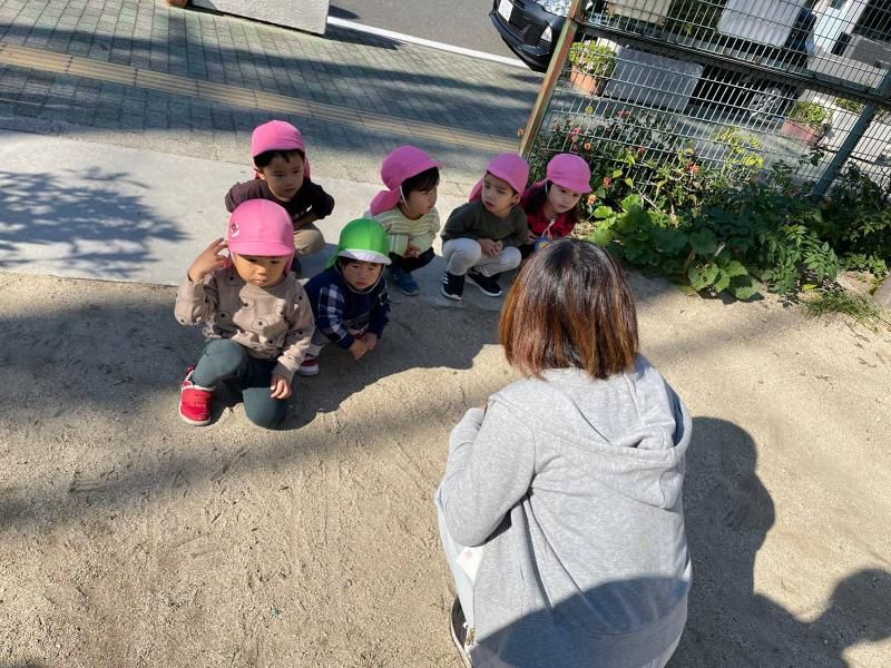 きらぼし保育園(生野園)の求人4