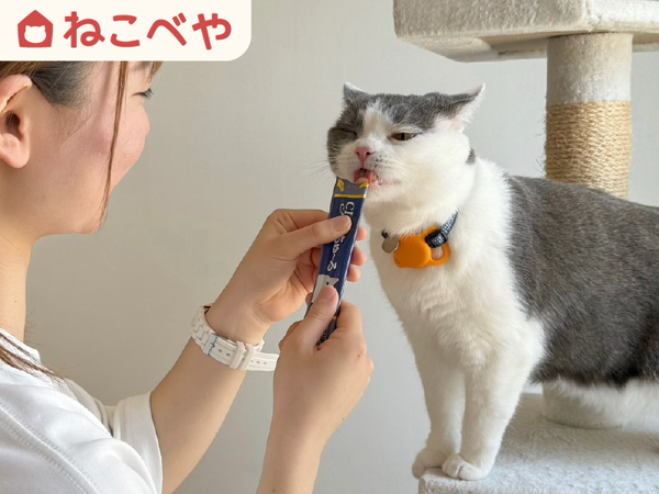 株式会社ペチカ-0005の求人・転職情報