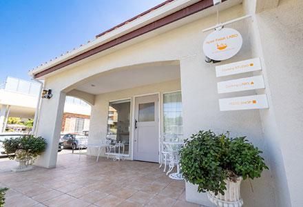 株式会社エイペックスフレッシュの求人・転職情報