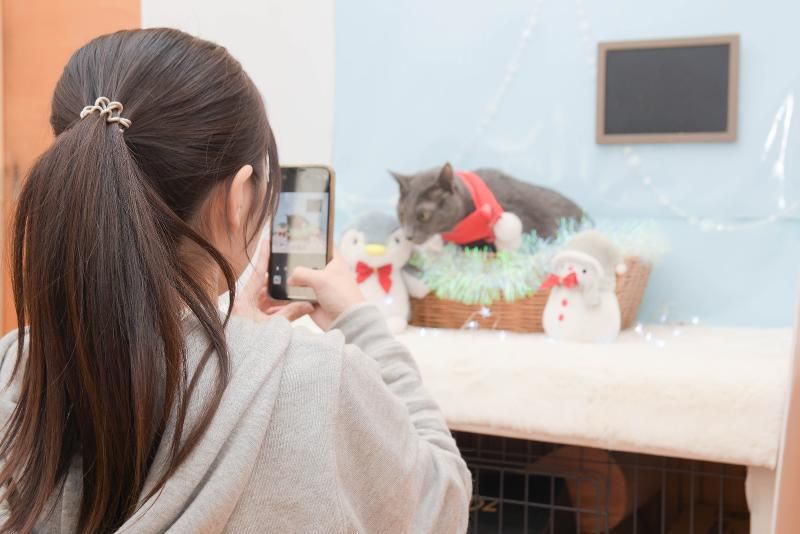 ねこべや町田のアルバイト・バイト求人情報-02