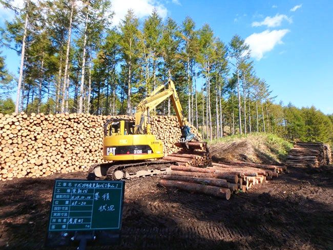 土井木材株式会社の求人・転職情報