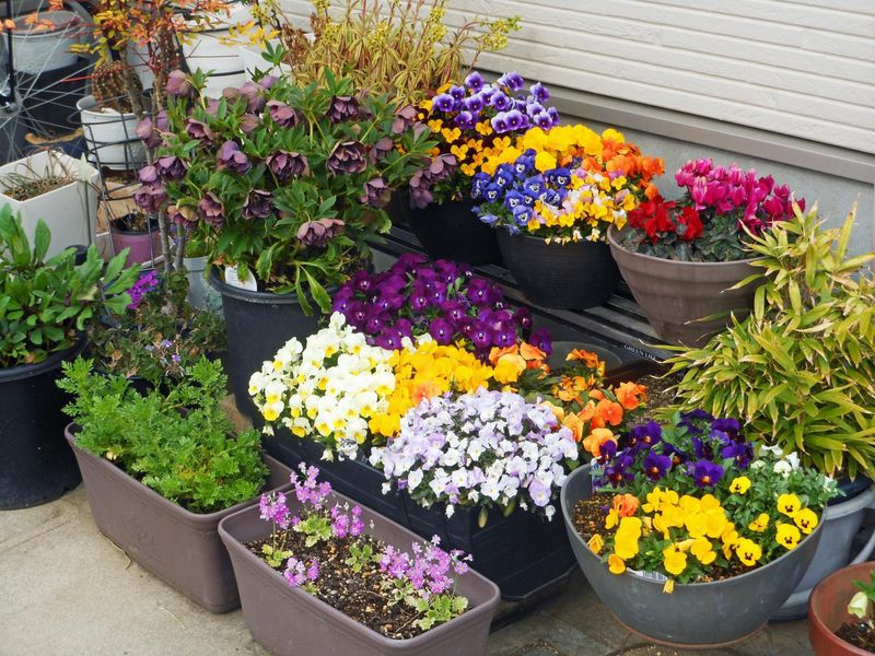 株式会社フクイフラワーガーデン-0002の求人・転職情報