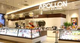 アポロホールディング株式会社の求人・転職情報