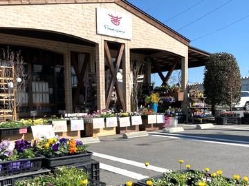 有限会社フラワーパーティーの求人・転職情報