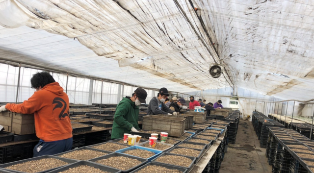 株式会社ＴＮプランテーションの求人・転職情報