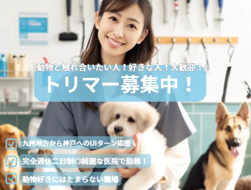 株式会社アニマルプラスの求人・転職情報