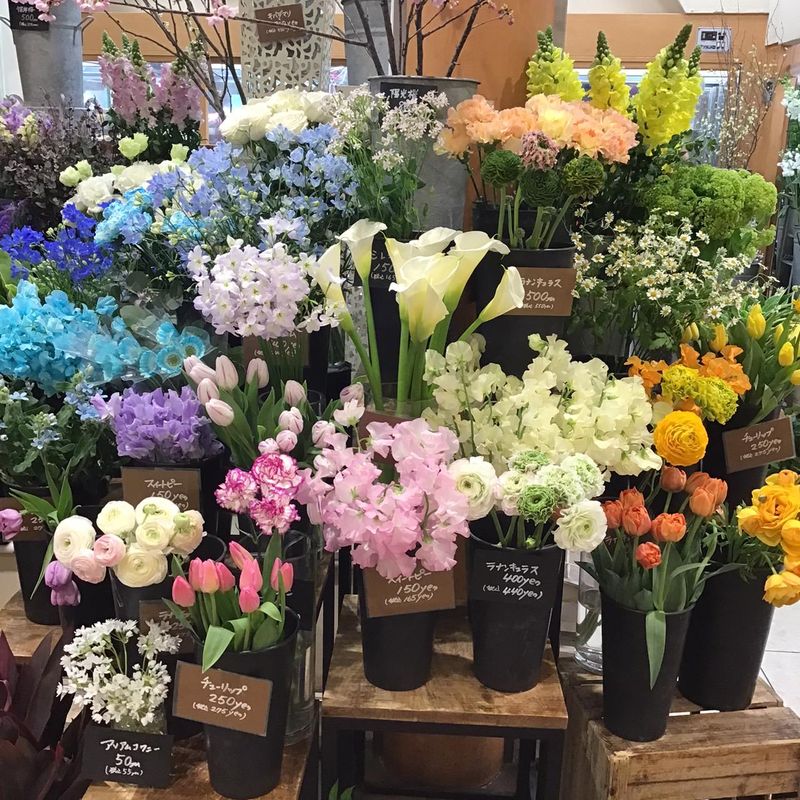 吉田園　フォーシーズン店のアルバイト・バイト求人情報-06