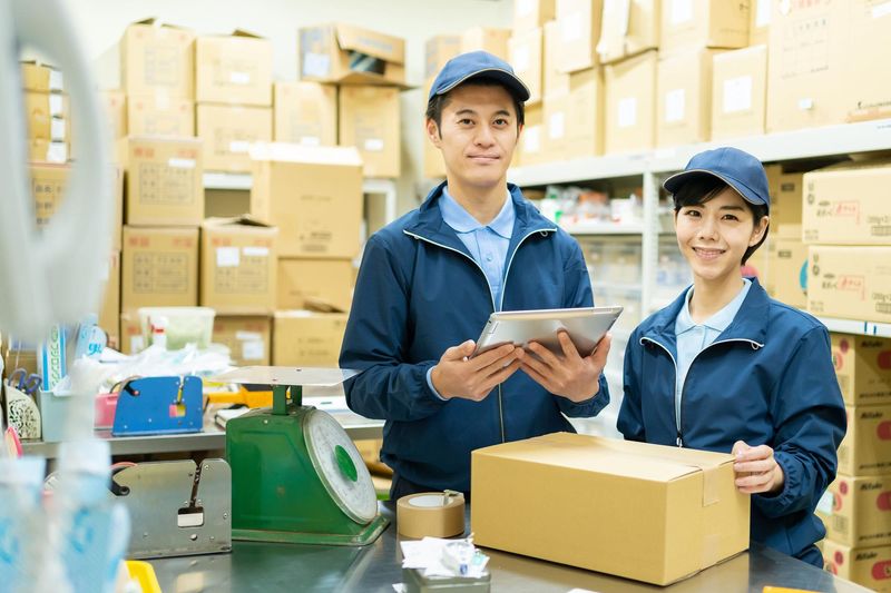 株式会社マッシュの求人・転職情報