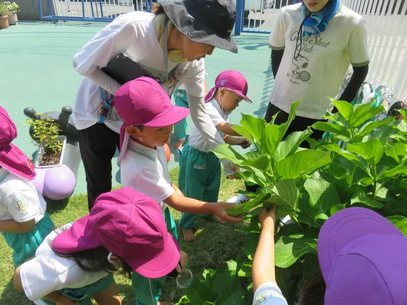学校法人川口聖マリア幼稚園の求人・転職情報