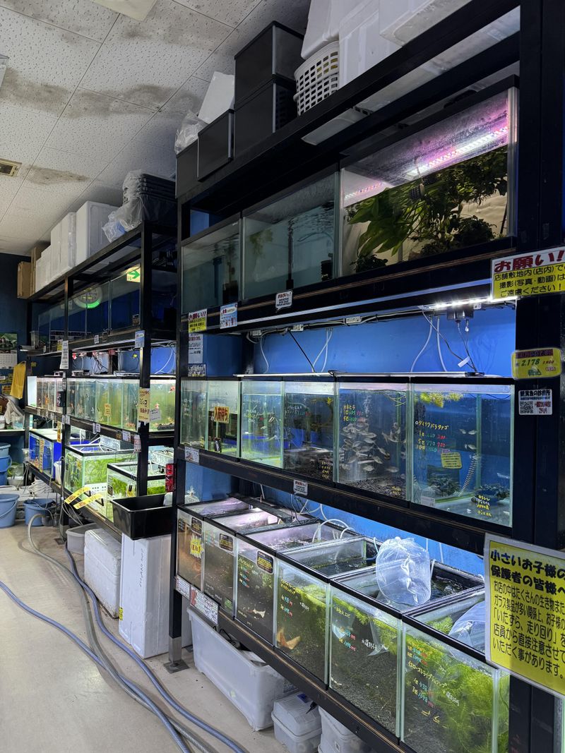 アクア&ペットかねだい　東戸塚店のアルバイト・バイト求人情報-02