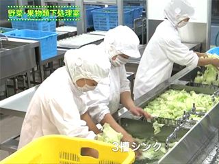 株式会社東洋食品の求人・転職情報