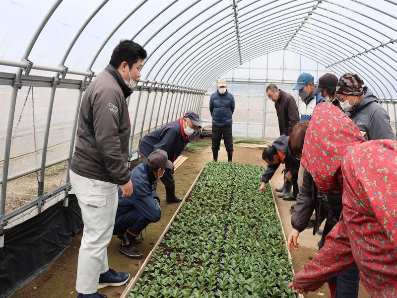 秋田やまもと農業協同組合