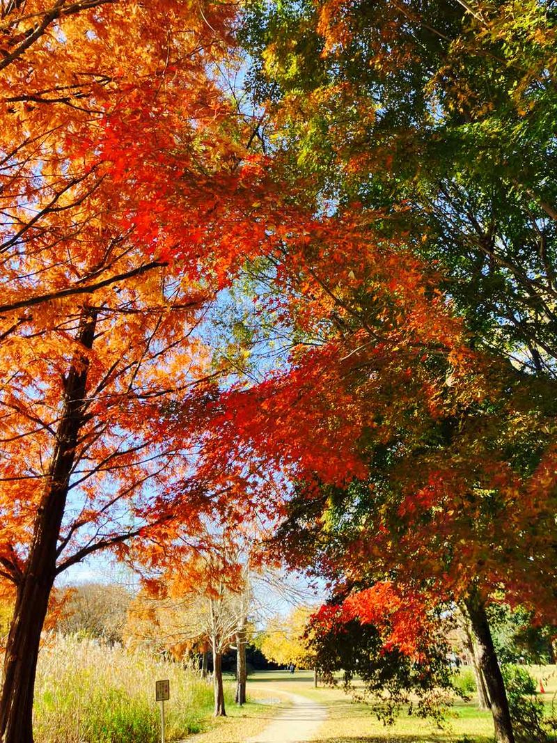 株式会社ワールドインテック-0003の求人・転職情報