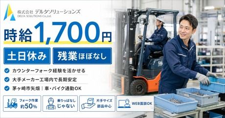 株式会社デルタソリューションズ