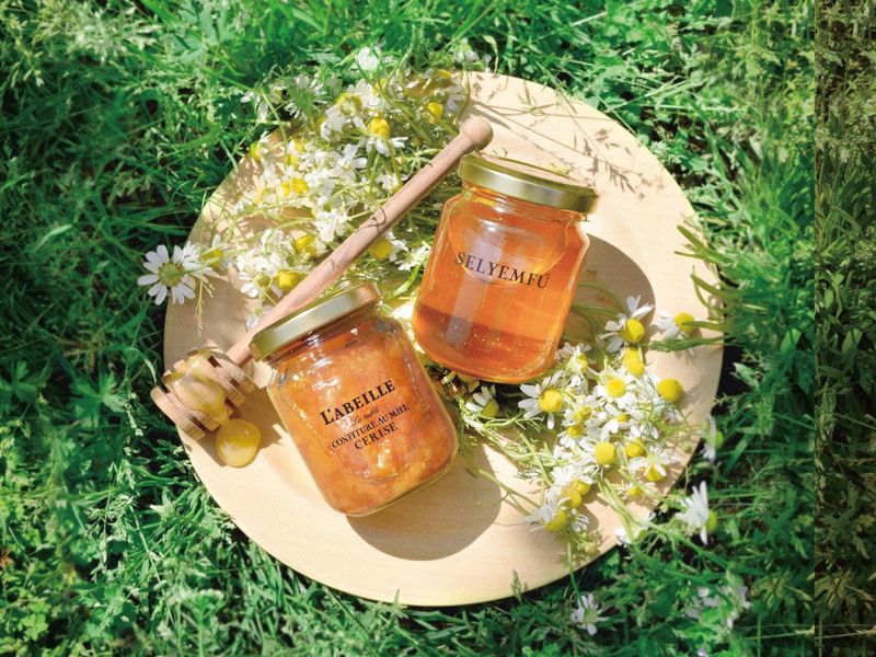 L'ABEILLE株式会社-0002の求人・転職情報