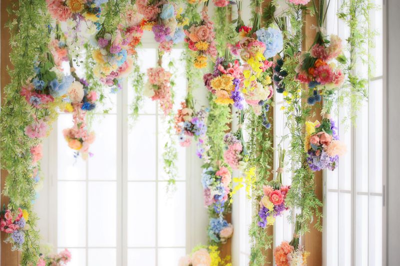 株式会社らかんスタジオ-0010の求人・転職情報