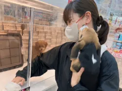 株式会社レックスの求人・転職情報