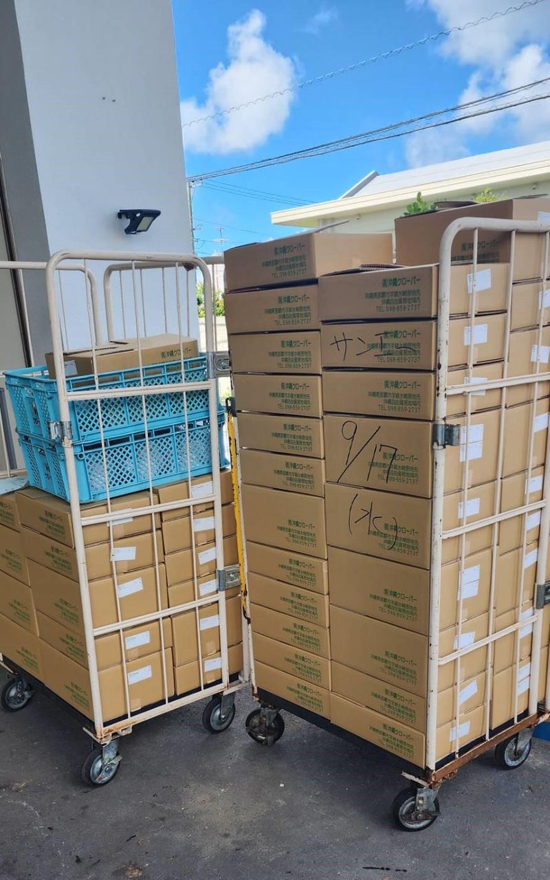 株式会社沖縄クローバーのアルバイト・バイト求人情報-03