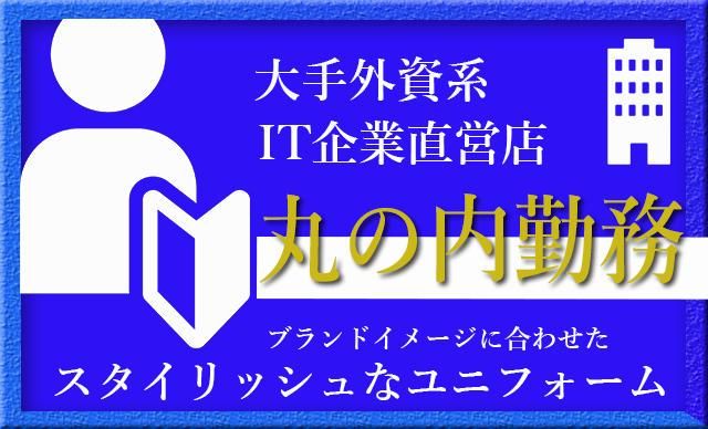 新共株式会社(千代田区丸の内勤務)のアルバイト・バイト求人情報-13