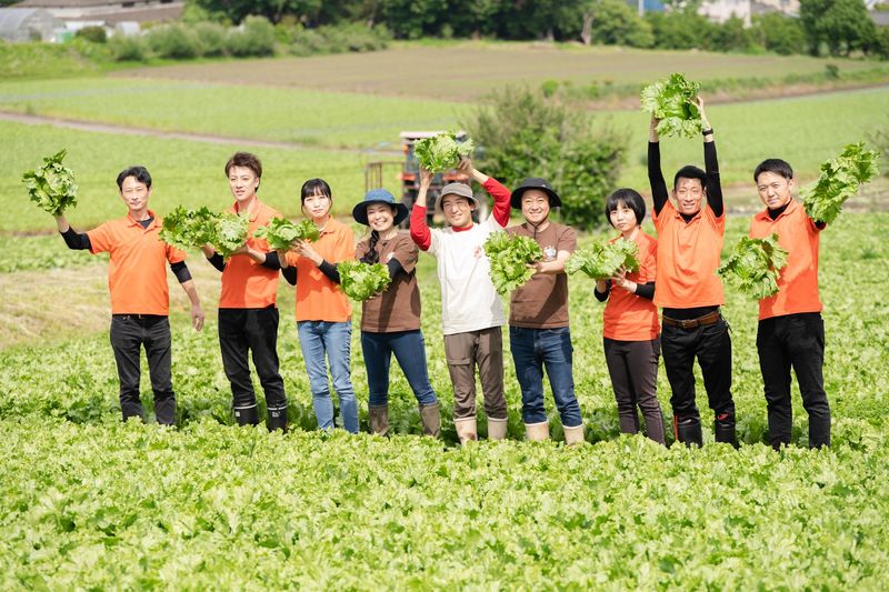 株式会社ヴェルジェの求人・転職情報