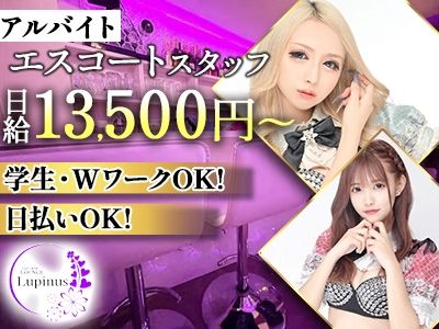 Girls BAR LOUNGE Lupinus~ルピナス~のアルバイト・バイト求人情報-03