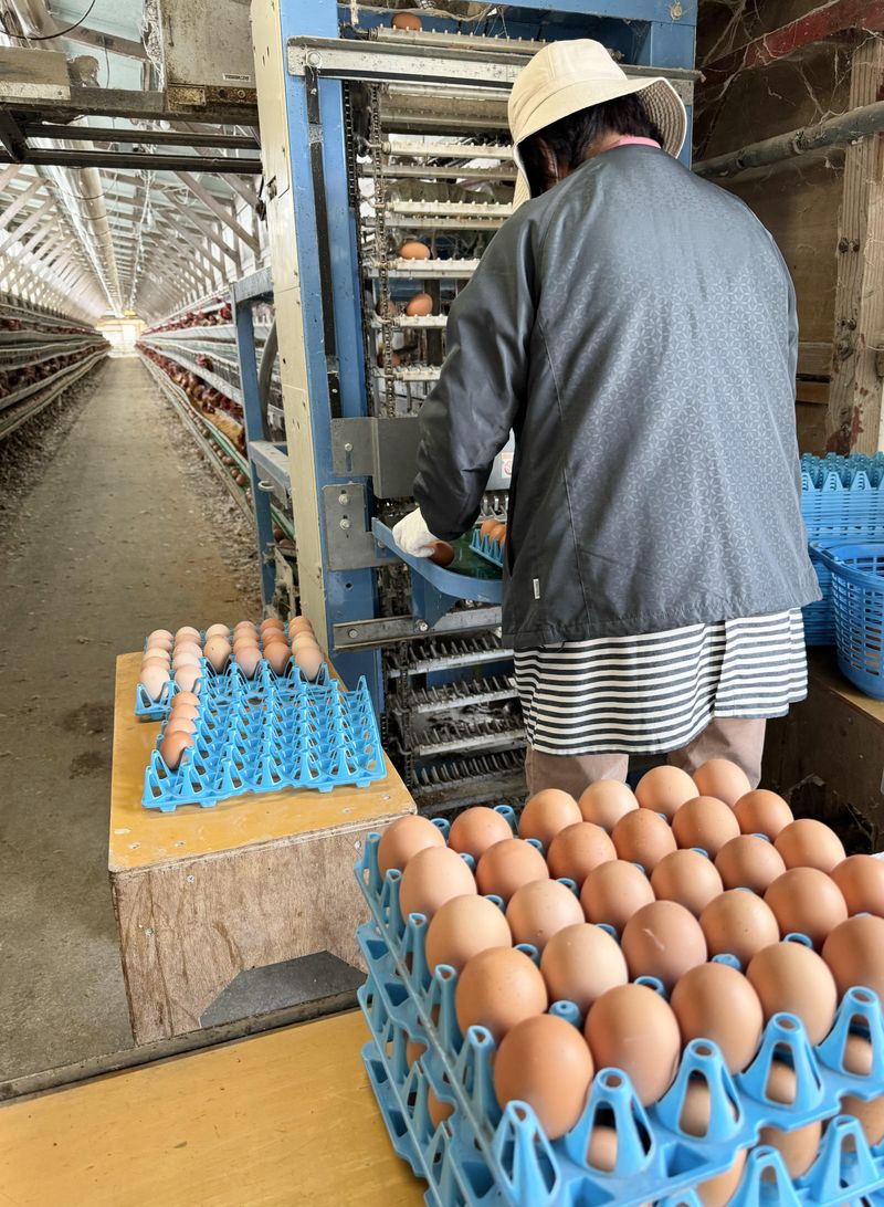 有限会社　桂ファームの求人・転職情報-03