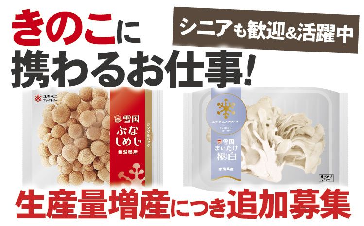 ユキグニファクトリー株式会社の求人・転職情報