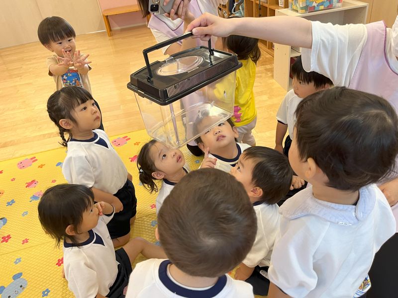 ティンカーベル保育園の求人4