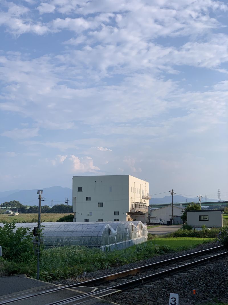 有限会社高橋きのこ園の求人情報