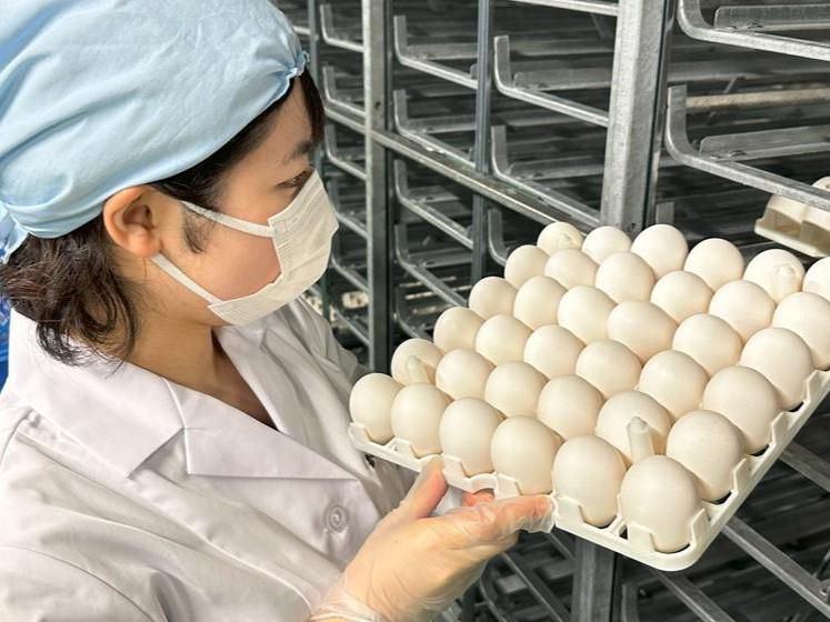 たまご&ファーマーズ株式会社-0001の求人・転職情報