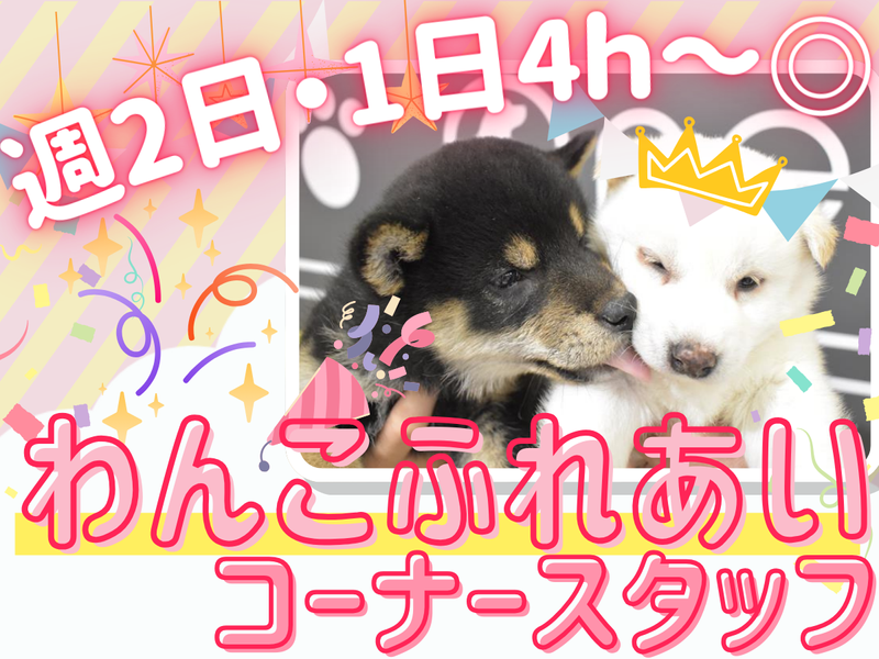 dog touch Rink矢場動物堂店のアルバイト・バイト求人情報-46