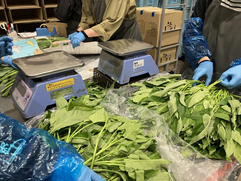 株式会社トレードの求人情報