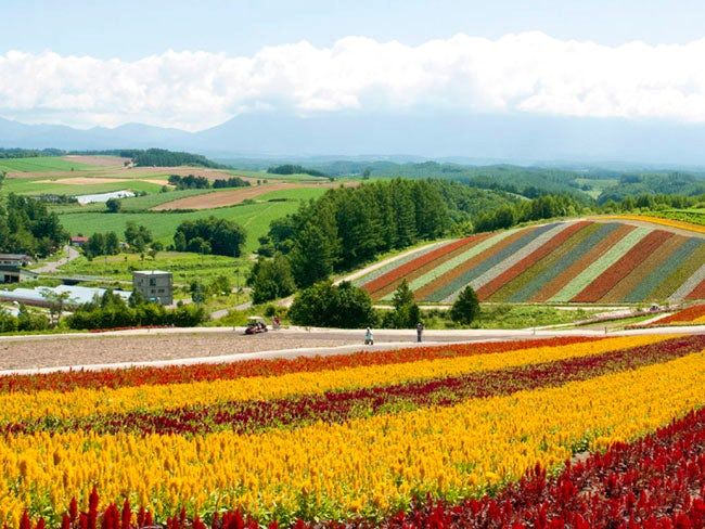 株式会社四季彩の丘の求人・転職情報