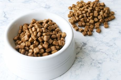 株式会社エイビスのアルバイト・バイト求人情報-15