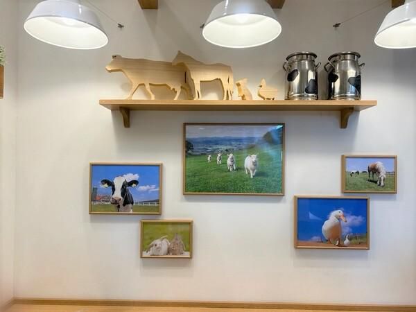 マザー牧場CAFE&SOFTCREAM　ららぽーとTOKYO-BAY店のアルバイト・バイト求人情報-05