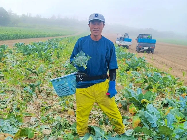 せたな町の求人・転職情報