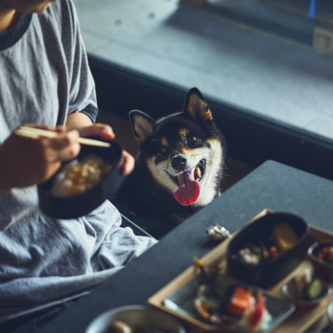 1HOTELのアルバイト・バイト求人情報-03