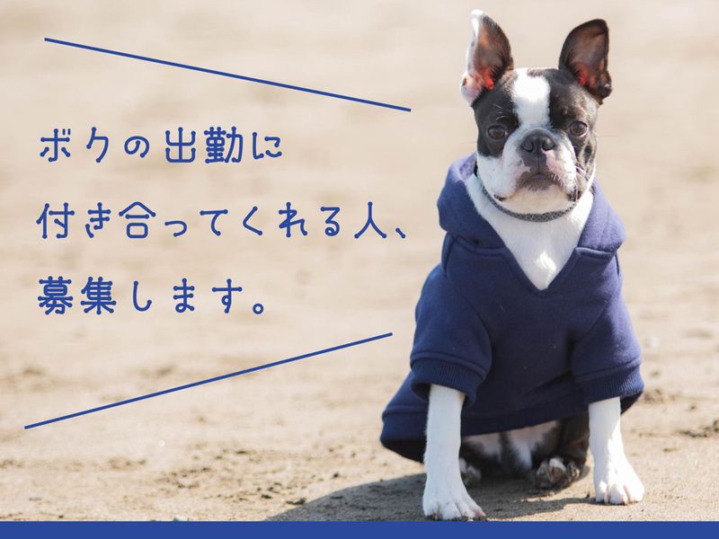 株式会社ＳＯＵＬＭＡＴＥの求人・転職情報